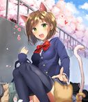  animal_ears black_legwear blazer blurry breasts brown_hair cat cat_ears cat_tail depth_of_field green_eyes heart idolmaster idolmaster_cinderella_girls jacket long_sleeves maekawa_miku medium_breasts pinb school_uniform short_hair solo squatting tail thighhighs too_many too_many_cats 