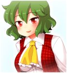  ascot bad_id bad_pixiv_id blue_background blush border breasts dress_shirt green_hair kazami_yuuka medium_breasts plaid plaid_vest red_eyes shirt short_hair simple_background smile solo touhou unadare vest 