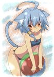  ahoge animal_ears bad_id bad_pixiv_id ball beachball bikini blue_hair blush brown_eyes cat_ears cat_tail flat_chest kazami_ryouya original prelu short_hair side-tie_bikini sidelocks solo swimsuit tail 