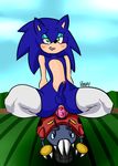  anal anal_penetration anthro badnik balls biting_lip dildo dildo_sitting duo front_view girly hedgehog humanoid_penis machine male mammal mobian_(species) penetration penis pranky robot sex_toy sonic_(series) sonic_the_hedgehog uncut 