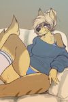  2017 5_fingers anthro bare_shoulder bedroom_eyes biped black_claws black_nose blue_bottomwear blue_clothing blue_eyes blue_topwear blush bra breasts brown_fur brown_stripes brown_tail butt_from_front camel_toe canine chest_tuft claws clothing collarbone countershade_face countershade_legs countershade_tail countershade_torso countershading dafnier digital_drawing_(artwork) digital_media_(artwork) dipstick_ears dovne eyelashes facial_markings female fluffy fluffy_tail front_view fur grey_background grey_clothing grey_topwear hair hair_bun half-closed_eyes humanoid_hands inner_ear_fluff legwear long_tail looking_at_viewer mammal markings medium_breasts multicolored_fur on_couch panties presenting raised_leg reclining red_wolf seductive short_hair simple_background sitting slim smile socks socks_(marking) sofa solo striped_fur stripes sweater tan_countershading tan_fur tan_hair tan_tail tuft two_tone_fur two_tone_tail underwear white_clothing white_socks wolf 