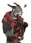  amulet_of_mara anthro black_fur clothed clothing ear_tuft feline fully_clothed fur gmork_(artist) grey_fur holding_object jewelry khajiit long_ears male mammal scar simple_background skyrim solo standing the_elder_scrolls tuft video_games white_background white_fur 