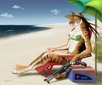  2006 anthro beach bikini breasts brown_hair chakona_space clothing dessa_(folly) feline female gun hair mammal mye navel pink_nose rakshani ranged_weapon seaside solo swimsuit tales_of_the_folly tiger weapon 