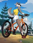  anthro athletic bicycle bottomless canine clothed clothing colt3n diaper eyewear furgonomics grin male mammal outside shirt smile sport sunglasses tank_top wolf 