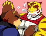  2017 anthro bear bearlovestiger13 clothed clothing feline fur juuichi_mikazuki male male/male mammal morenatsu nipples open_mouth pecs simple_background tiger torahiko_(morenatsu) 