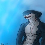 abs anthro biceps dorsal_fin elzadasneves fin fish gills male marine muscular muscular_male scratches sea shark solo standing water white_skin 