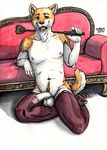 2017 balls canine clothing dog fur glans looking_at_viewer male mammal nude open_mouth penis smile sofa tabaxitaxi tongue traditional_media_(artwork) watercolor_(artwork) 