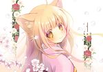  ahoge animal_ears bangs blonde_hair blush branch cherry_blossoms closed_mouth eyebrows_visible_through_hair flower from_behind from_side head_tilt japanese_clothes kimono konohana_kitan kuga_tsukasa long_hair looking_at_viewer looking_back orange_eyes petals pink_kimono smile solo upper_body yuzu_(konohana_kitan) 