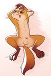  2017 animal_genitalia anthro balls blush canine cute_fangs dipstick_tail disney fox fuel_(artist) gloves_(marking) half-closed_eyes hands_behind_head hi_res looking_at_viewer lying male mammal markings multicolored_tail nick_wilde nude on_back pawpads penis penis_tip pose presenting presenting_penis sheath socks_(marking) solo tongue tongue_out zootopia 