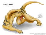  2007 2010 balls blotch cum erection male mammal marsupial paws solo stripes tazmanian_tiger thylacine urban-coyote 