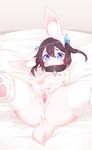  &lt;3 &lt;3_eyes 2017 anthro anus bed blue_eyes blush breasts brown_hair butt clothing collar female fur hair lagomorph legwear looking_at_viewer lying mammal mostly_nude navel nipples on_back presenting presenting_pussy proofme pussy rabbit ribbons small_breasts solo spread_legs spread_pussy spreading stockings white_fur 