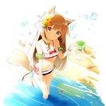  :&gt; animal_ears bandeau beach bikini brown_eyes brown_hair bucket character_request closed_mouth crab flower foreshortening from_above hair_flower hair_ornament halterneck inflatable_armbands looking_at_viewer nekomu petals sand seashell shell side-tie_bikini single_sidelock smile solo starfish swimsuit tail transparent_background uchi_no_hime-sama_ga_ichiban_kawaii wading wristband 