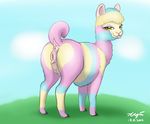  2017 all_fours alpaca anatomically_correct anatomically_correct_pussy animal_genitalia animal_pussy anus blep blue_fur butt butt_heart camelid eyelashes female feral fur green_eyes looking_at_viewer looking_back mammal multi_nipple multicolored_fur nipples outside pink_fur presenting presenting_anus presenting_pussy presenting_teats pussy raised_tail signature solo teats tongue tongue_out udders xyi yellow_fur 