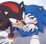  karlo shadow_the_hedgehog sonic_team sonic_the_hedgehog tagme 