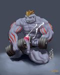  machoke nintendo pokemon tagme todex 