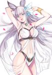  :d animal_ears armpits blue_eyes bra bracer breasts cowboy_shot erune eyebrows_visible_through_hair granblue_fantasy hair_ornament hands_up highres korwa long_hair looking_at_viewer medium_breasts navel open_mouth panties petals smile solo standing tetsu_(kimuchi) underwear white_background white_bra white_panties 