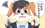  anthro black_hair black_suit blue_eyes blue_tie business_suit canine close-up clothing coronta_(tenshoku_safari) dialogue dog fur hair japanese_text male mammal multicolored_fur official_art open_mouth suit sweat sweatdrop tenshoku_safari text translated unknown_artist watch white_shirt wristwatch 