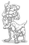  anthro canine erection happy hyper hyper_penis line_art long_body male mammal multi_arm multi_leg multi_limb multi_pec multi_penis penis rackun solo tall taur 