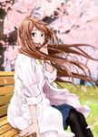  amakasu_an bench blurry blurry_background brown_hair cherry_blossoms highres labcoat long_hair mori_taishi official_art pantyhose radiation_house wavy_hair 
