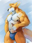  2017 alcohol beer beverage bulge clothed clothing dog_tags kangaroo male mammal marsupial muscular simple_background slightly_chubby solaxe solaxe_(artist) solo standing topless underwear 