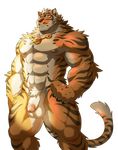  abs anthro balls biceps claws digital_media_(artwork) feline fur lin_hu looking_at_viewer mammal muscular nekojishi nipples nude pecs penis solo standing stripes tiger unknown_artist white_fur 