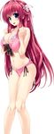  big_breast bikini clochette harugasaki_kanau haruru_minamo_ni! shintarou swimsuits transparent_png 