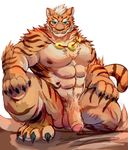  4_toes abs anthro balls better_version_at_source biceps blue_eyes caro_zalt cheek_tuft chest_tuft crouching feline fur inner_ear_fluff lin_hu looking_at_viewer male mammal muscular muscular_male nekojishi nipples orange_fur pecs penis simple_background smile solo stripes tiger toes tuft 