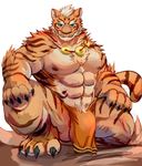  4_toes abs anthro balls barely_visible_genitalia better_version_at_source biceps blue_eyes bulge caro_zalt cheek_tuft chest_tuft clothing crouching feline fur inner_ear_fluff lin_hu loincloth looking_at_viewer male mammal muscular muscular_male nekojishi nipples orange_fur pecs simple_background smile solo stripes tiger toes tuft 