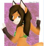  2017 akira_foxy akirafoxy anthro canine clothed clothing digital_media_(artwork) female fox fur hair looking_at_viewer mammal simple_background smile solo 