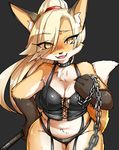  2017 anthro bdsm black_background blonde_hair breasts brown_fur canine chain cleavage clothed clothing collar domination female female_domination first_person_view fox fur gloves_(marking) hair kinokoningen looking_at_viewer mammal markings orange_eyes orange_fur ponytail simple_background skimpy slit_pupils smile solo stick studded_collar white_fur wide_hips 