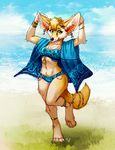  2017 4_toes anklet anthro barefoot beach big_ears bikini biped black_nose blue_bottomwear blue_clothing blue_sky blue_topwear bracelet breasts brown_fur brown_hair brown_tail canine clothed clothing cloud day digital_media_(artwork) ear_piercing female fennec flower flower_in_hair fluffy fluffy_tail fox front_view full-length_portrait fur grass green_eyes hair inner_ear_fluff jewelry looking_at_viewer mammal multicolored_fur necklace on_one_leg outside piercing plant portrait sand sea seaside short_hair signature sky snout solo standing swimsuit tan_fur tasanko toes two_tone_fur water 