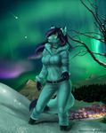  5_fingers anthro aurora_borealis canine detailed_background digital_media_(artwork) elvofirida female green_eyes mammal midriff navel night outside sky snow solo star starry_sky 