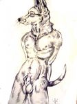  animal_genitalia anthro balls canine cbrn_hyena fur male mammal nude pencil_(artwork) sheath simple_background solo traditional_media_(artwork) white_background 