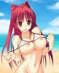  bad_id bad_pixiv_id beach bikini blush breasts brown_eyes cleavage cloud day kamimiya kousaka_tamaki large_breasts long_hair nipple_slip nipples ocean outdoors red_hair sky solo swimsuit to_heart_2 water 