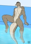  anthro chameli crocodile crocodilian dragonofdarkness13 female flat_chested muscular nude pool_(disambiguation) pussy reptile scalie smile solo 