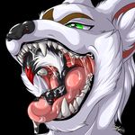  anthro arctic_fox black_fur butt canine drooling fox fur hi_res male male/male mammal mouth_shot nude open_mouth oral_vore rena_ayama saliva simple_background size_difference skunk skunkhase swiftayama teeth tongue tongue_out vore white_fur 