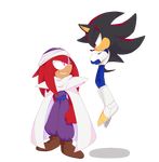  2017 anthro cosplay dragon_ball dragon_ball_z duo echidna hedgehog hi_res knuckles_the_echidna mai-pie male mammal monotreme shadow_the_hedgehog sonic_(series) video_games 