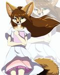  2017 anthro brown_hair canine clothed clothing digital_media_(artwork) dress female fennec fox hair heterochromia kyotokisha15 looking_at_viewer mammal simple_background solo 