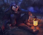  2017 4_fingers anthro black_nose costume cute detailed_background digital_media_(artwork) green_eyes koul lantern male mammal mustelid night open_mouth otter outside smile solo teeth tongue 