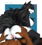  2017 anthro anus black_fur black_hair breasts brown_fur butt canine cum cum_in_pussy cum_inside duo evilcraber faceless_male female fur hair hand_on_butt male male/female male_penetrating mammal multicolored_fur nipples on_top penetration penis pussy reverse_cowgirl_position sex sia_(ebonycrowned) simple_background solo_focus tongue tongue_out two_tone_fur vaginal vaginal_penetration white_fur wolf yellow_eyes 
