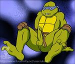  donatello tagme teenage_mutant_hero_turtles 