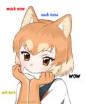  :3 absurdres animal_ears artist_name bad_id bad_tumblr_id brown_eyes cartoon_bone chin_rest dog_(kemono_friends) dog_ears doge elbow_gloves gloves head_tilt highres kemono_friends kumaartsu looking_at_viewer meme mouth_hold orange_hair short_hair simple_background solo upper_body white_background 