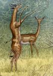  2015 antelope black_eyes black_horn black_tail bovid brown_body brown_hooves brown_tail cloven_hooves countershade_face countershade_legs countershade_torso countershading detailed digital_media_(artwork) duo eating eye_markings facial_markings female feral frown full-length_portrait gerenuk graphite_(artwork) grass grazing hooves horn leaf legs_up lighting long_legs long_neck looking_at_viewer male mammal markings mixed_media nature on_hind_legs open_mouth outside pencil_(artwork) photorealism plant portrait quadruped reaching shadow shrub side_view snout standing tail_tuft traditional_media_(artwork) tree true_antelope tuft two_tone_body two_tone_tail white_body white_countershading white_markings willemsvdmerwe 