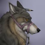  bust_(disambiguation) bust_portrait canine feral male mammal maskedhusky muzzle_(object) muzzled pencil_(disambiguation) portrait sleth solo wolf 