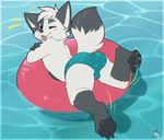 4_toes anthro black_fur blue_eyes blush bulge canine child clothing crossed_arms cub cute_fangs fox fur looking_back male mammal pawpads solo speedo swimsuit toes tongue tongue_out water white_fur young yuniwolfsky 