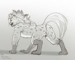  2017 all_fours anthro anus breasts butt claws female fur gnoll greyscale hyena looking_at_viewer looking_back mammal mane monochrome nude paws presenting presenting_anus presenting_hindquarters presenting_pussy pussy raised_tail smile solo zafara_(artist) 