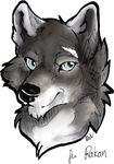  2017 blue_eyes canine digital_media_(artwork) headshot_portrait hi_res icon mammal portrait rakan recolor revaivwra scar simple_background solo traditional_media_(artwork) watercolor_(artwork) were werewolf white_background 