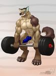  abs absurd_res animal_genitalia animal_penis balls barbell biceps big_balls big_feet big_muscles big_penis black_hair black_nose blue_eyes blue_penis brown_fur canine canine_penis claws clenched_teeth deadlift dog edan_braveblitz erection exercise fangs fur german_shepherd hair hi_res knot male mammal muscular nude pecs penis scar solo standing tan_fur teeth toe_claws triceps vallhund weightlifting weights white_fur workout 