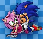  all_fours amy_rose bike_shorts butt clothed clothed_sex clothing dry_humping female green_eyes hedgehog hot_dogging lagomorph male male/female mammal penis sex shorts skyevixensartwork sonic_(series) sonic_the_hedgehog sr 