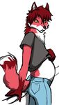  anthro canine clothing fox jeans male male_pregnancy mammal pants pregnant pulling_up_shirt shirt solo standing theowlking 